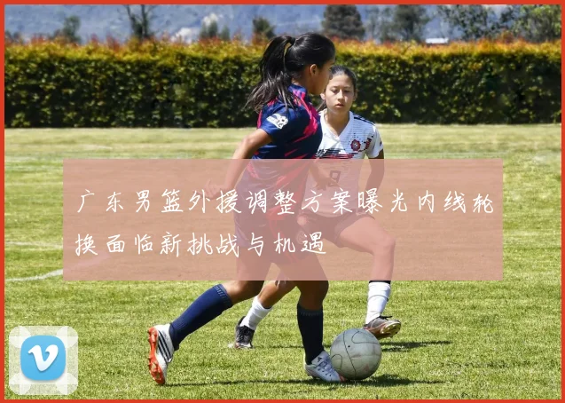 广东男篮外援调整方案曝光内线轮换面临新挑战与机遇